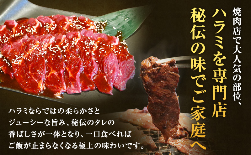 アメリカ産タレ漬け牛ハラミ 8～12人前 300g×4 牛肉 焼肉 焼き肉 アウトドア BBQ