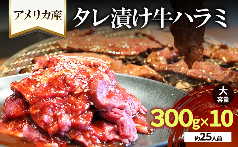 アメリカ産タレ漬け牛ハラミ　大容量(約25人前) 300g×10 牛肉 焼肉 焼き肉 アウトドア BBQ