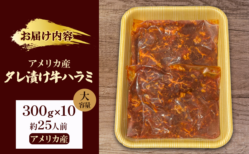 ã¢ã¡ãªã«ç£ã¿ã¬æŒ¬ãçãã©ãã倧容é(çŽ25人å) 300gÃ10 çè çŒè çŒãè ã¢ãŠãã㢠BBQ