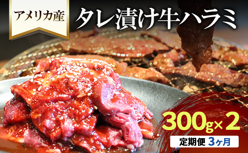 【3か月定期便】アメリカ産タレ漬け牛ハラミ　300g×2 | 牛肉 焼肉 焼き肉 アウトドア BBQ