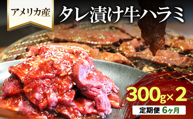 【6か月定期便】アメリカ産タレ漬け牛ハラミ　300g×２ | 牛肉 焼肉 焼き肉 アウトドア BBQ
