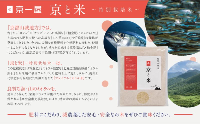 京都府京田辺市産 京と米 ヒノヒカリ 4kg (2kg×2袋) R7年度産 お米 米 こめ コメ 精米 白米 ごはん ご飯 弁当 おにぎり 真空 長期保存 防災 京田辺市 京都府 kt2026