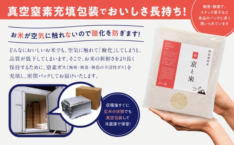 京都府京田辺市産 京と米 ヒノヒカリ 6kg (2kg×3袋) R7年度産 お米 米 こめ コメ 精米 白米 ごはん ご飯 弁当 おにぎり 真空 長期保存 防災 京田辺市 京都府 kt2026