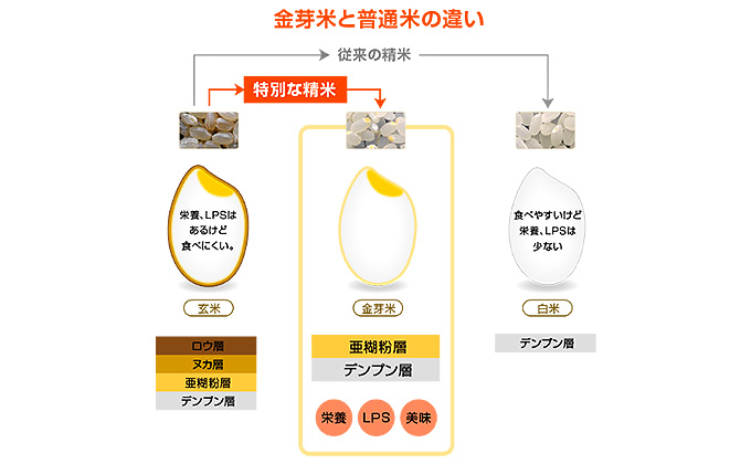 BG辟。豢礼アウ 莠ャ驛ス螻ア蝓守肇 莠ャ縺ィ邀ウ 驥題歓邀ウ 10kg R7蟷エ蠎ヲ逕」 繝偵ヮ繝偵き繝ェ 縺顔アウ 邀ウ 縺斐ッ繧 縺翫↓縺弱j 縺翫>縺励> 縺雁シ∝ス 蛛・蠎キ 邇邀ウ縺ョ譬鬢 辟。豢礼アウ 遽豌エ 譎ら洒 譚ア豢九Λ繧、繧ケ 莠ャ驛ス蠎 莠ャ逕ー霎コ蟶