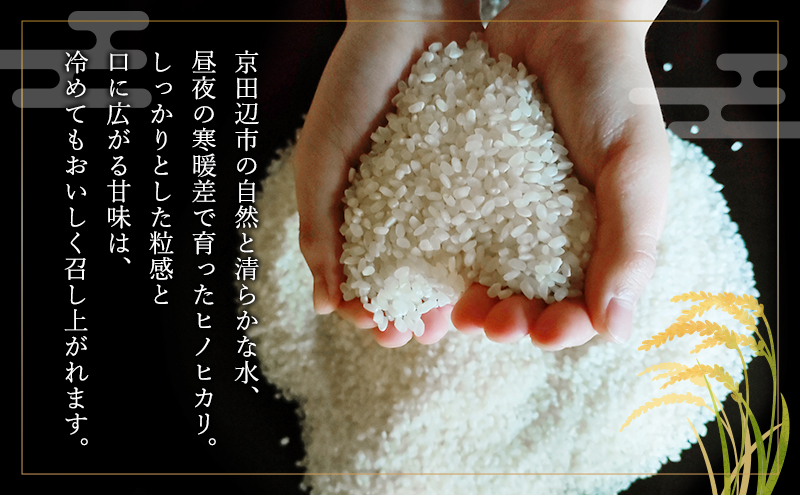 令和8年産 新米 ヒノヒカリ 5kg　米 コシヒカリ お米 ご飯 ごはん 精米 京都府 京田辺市