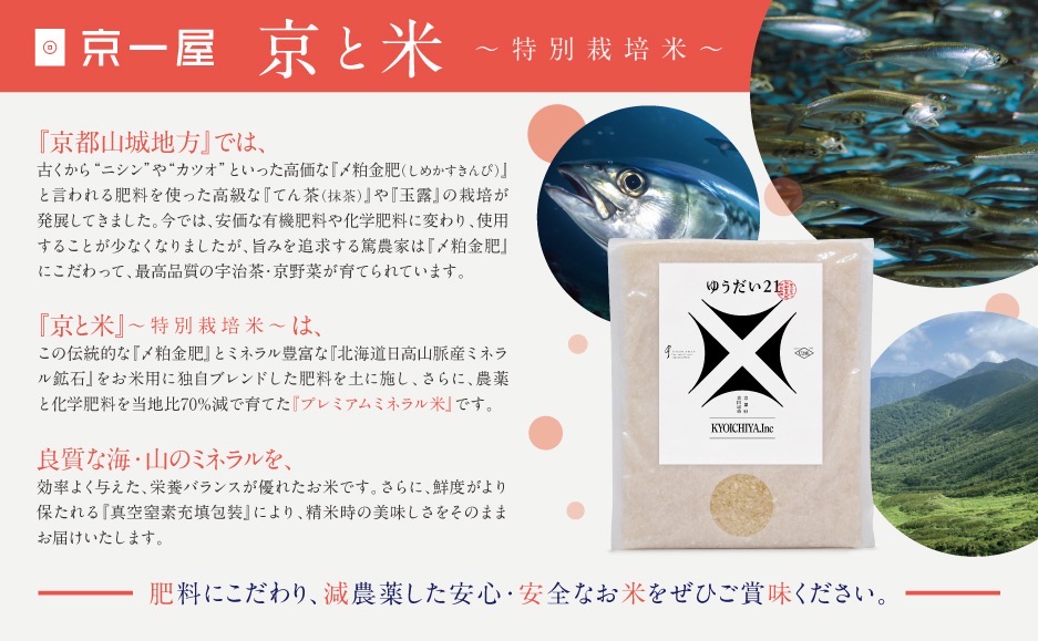 京都府京田辺市産 京と米 ゆうだい21 4kg (2kg×2袋) R7年度産 お米 米 こめ コメ 精米 白米 ごはん ご飯 弁当 おにぎり 真空 長期保存 防災 京田辺市 京都府 kt2026