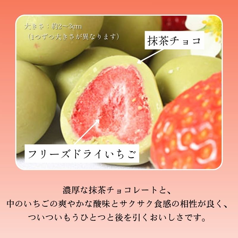 謚ケ闌カ縺縺。縺斐■繧縺 144g 縺縺。縺斐せ繧、繝シ繝 繝√Ι繧ウ繝ャ繝シ繝 縺願藷蟄 蛟句桁陬 莠ャ驛ス蠎 莠ャ逕ー霎コ蟶