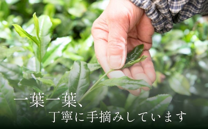 京の名匠 山下壽一作 最高傑作玉露 屋敷の茶8g×18個入 お茶 緑茶 