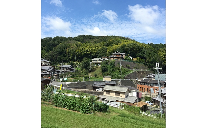 ほのぼのみそ900グラム・無添加つけもの4種詰め合わせ（季節のお野菜、京田辺市高船産）