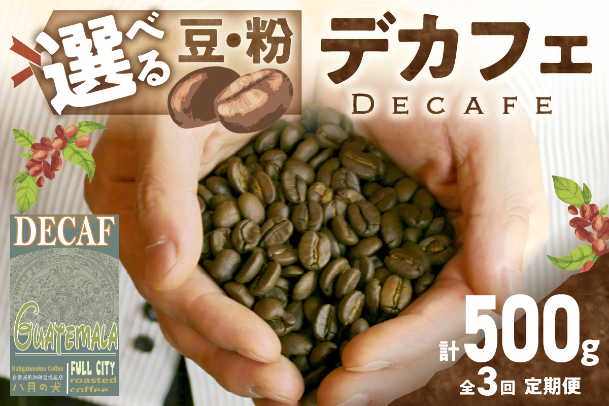 【定期便全3回】【デカフェ】自家焙煎　グアテマラ カフェインレスコーヒー豆 500g（250g×2）　2カ月に１回×3回お届け 八月の犬　珈琲豆　ドリップ　マタニティー