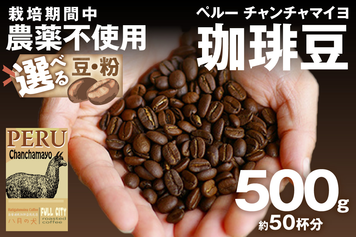 【栽培期間中農薬不使用】自家焙煎コーヒー豆 ペルー チャンチャマイヨ 500g（250g×2）　約50杯分　小分け　豆・粉 選べる 飲料 珈琲 こーひー コーヒー coffee