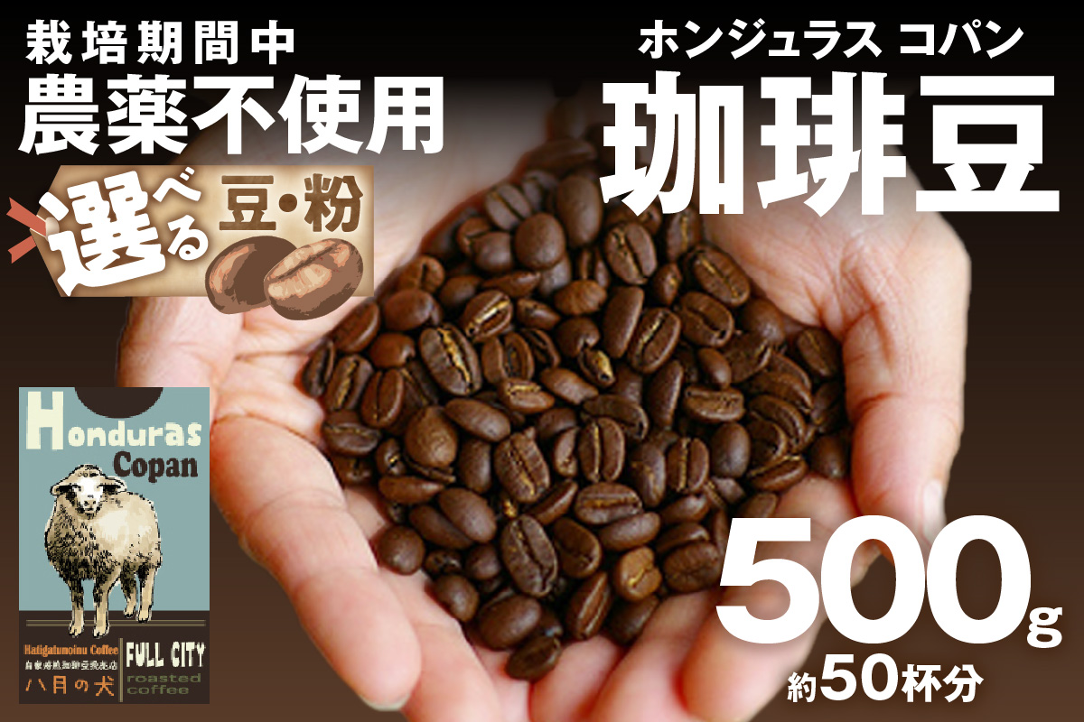 【栽培期間中農薬不使用】自家焙煎コーヒー豆 ホンジュラス　コパン 500g（250g×2） 約50杯分 小分け　豆・粉 選べる 飲料 珈琲 こーひー コーヒー coffee