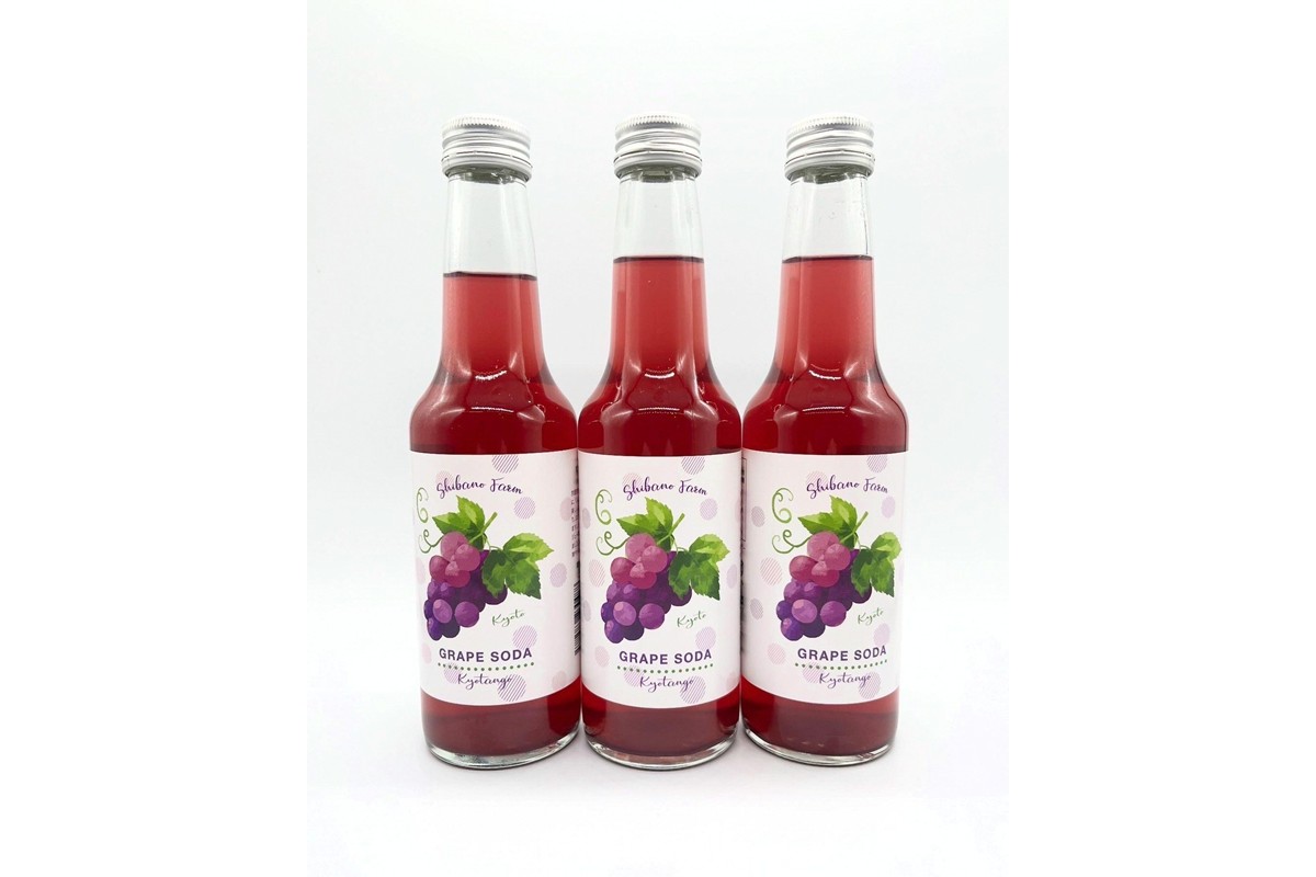 京丹後のぶどう炭酸ジュース（ソーダ） 小瓶3本入り（2026年11月中旬～発送）京丹後 ぶどう 葡萄 炭酸ジュース ソーダ しばの 飲料 ジュース ふるさと納税 ぶどう ふるさと納税 ジュース