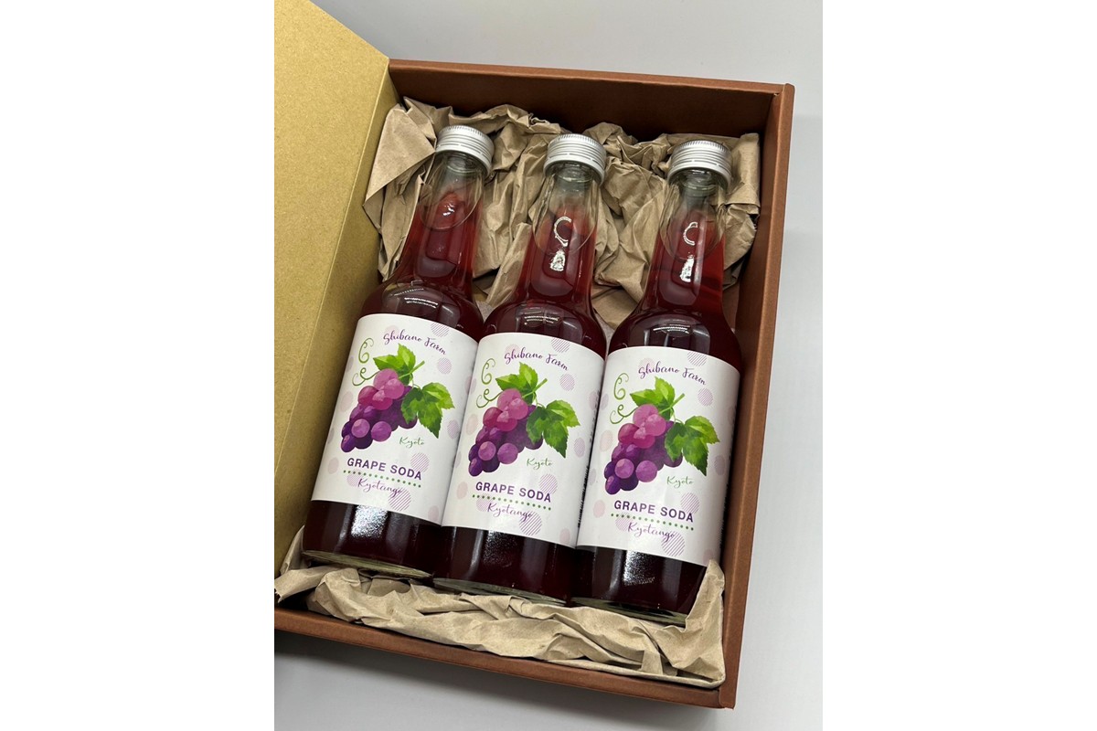 京丹後のぶどう炭酸ジュース（ソーダ） 小瓶3本入り（2026年11月中旬～発送）京丹後 ぶどう 葡萄 炭酸ジュース ソーダ しばの 飲料 ジュース ふるさと納税 ぶどう ふるさと納税 ジュース