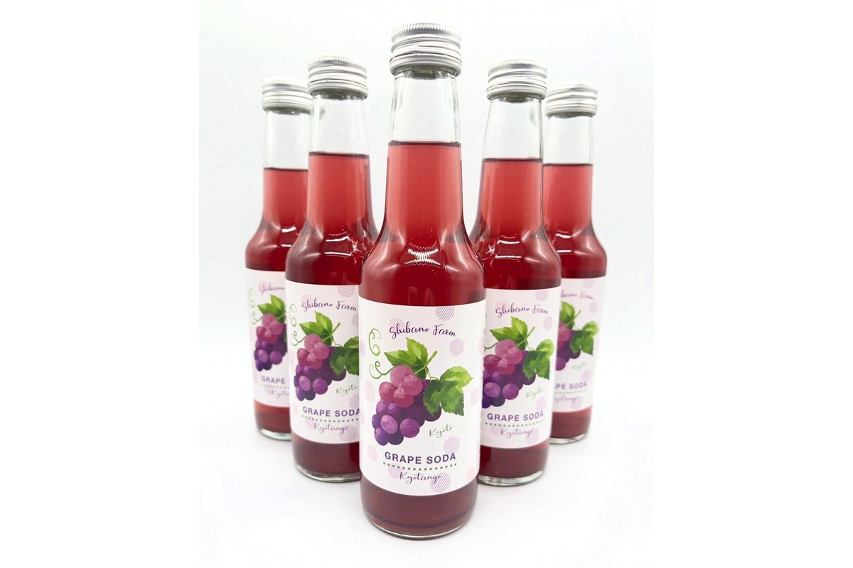 京丹後のぶどう炭酸ジュース（ソーダ） 小瓶6本入り（2026年11月中旬～発送）京丹後 ぶどう 葡萄 炭酸ジュース ソーダ しばの 飲料 ジュース ふるさと納税 ぶどう ふるさと納税 ジュース