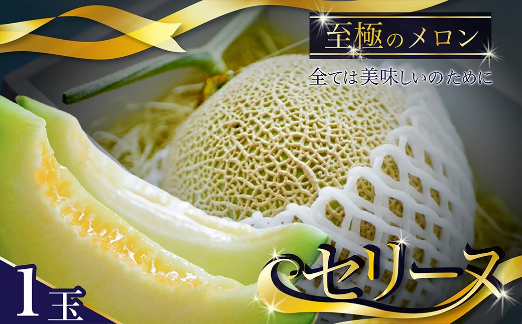 【数量限定】京都丹後産 セリーヌメロン 1玉入り（2026年7月～発送） 国産 旬 アールスメロン めろん ふるさと 納税 メロン 青肉 ふるさと 納税 期間限定 ふるさと 納税 フルーツ くだもの 果物