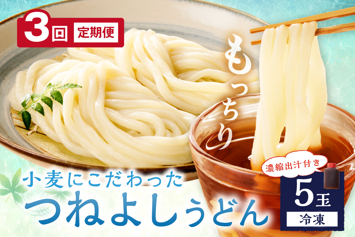 京丹後つねよしの冷凍うどん 5玉入り（5食分） 濃縮出汁付き　定期便（月1回×3ヶ月）
