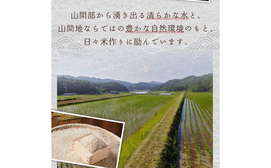 2026年産 京都・久美浜三谷産 丹後コシヒカリ「三谷幸米」 玄米 5kg ふるさと納税 コシヒカリ 新米 令和8年産 ふるさと納税 玄米 先行予約