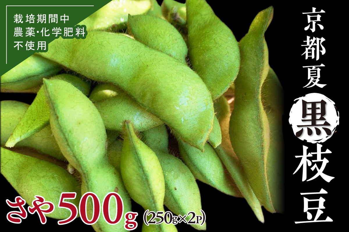 【先行予約／数量限定40】京都夏黒枝豆さや 500g（250g×2パック）（2026年7月中旬～発送）
