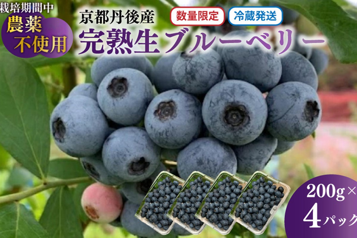 【先行予約／数量限定40】完熟ブルーベリー 生果 200g×4パック（栽培期間中農薬・化学肥料・除草剤不使用）（2026年7月上旬～発送）