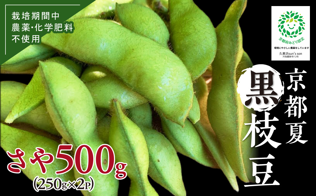 【先行予約／数量限定40】京都夏黒枝豆さや 500g（250g×2パック）（2026年7月中旬～発送） 野菜 豆類 黒豆 黒枝豆 晩酌 おつまみ おかず 京都 ふるさと納税 枝豆