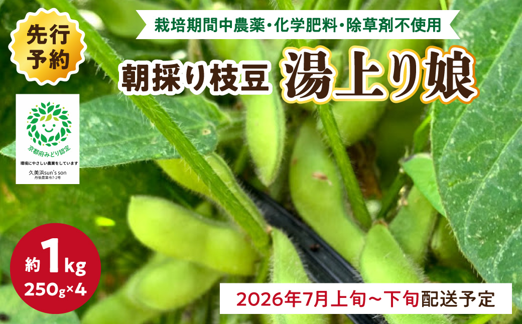 【先行予約／数量限定40】朝採り枝豆（湯上り娘）1kg（250g×4パック）（栽培期間中農薬・化学肥料・除草剤不使用）（2026年7月上旬～発送） おつまみ 農家応援 京都産 えだまめ 朝採れ 農家直送