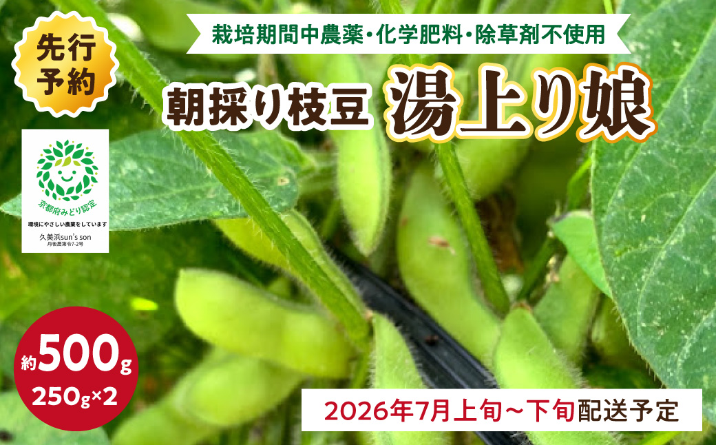 【先行予約／数量限定40】朝採り枝豆（湯上り娘）500g（250g×2パック）（栽培期間中農薬・化学肥料・除草剤不使用）（2026年7月上旬～発送） おつまみ 農家応援 京都産 えだまめ 朝採れ 農家直送