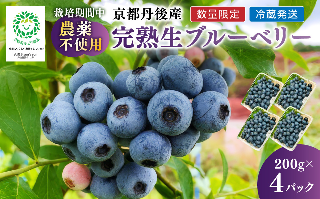 【数量限定40】完熟ブルーベリー 生果 200g×4パック（栽培期間中農薬・化学肥料・除草剤不使用）（2026年7月上旬～発送） ブルーベリー ルーツ 果物 アントシアニン  期間限定 生産者応援 農家応援 送料無料