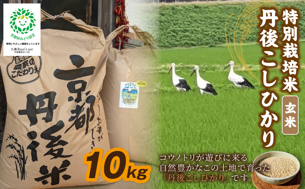 【先行予約】令和8年産 丹後こしひかり 玄米10kg 【特別栽培米】新米 玄米 こしひかり10キロ  特別栽培 玄米 2026年産 ふるさと納税 こしひかり ふるさと納税