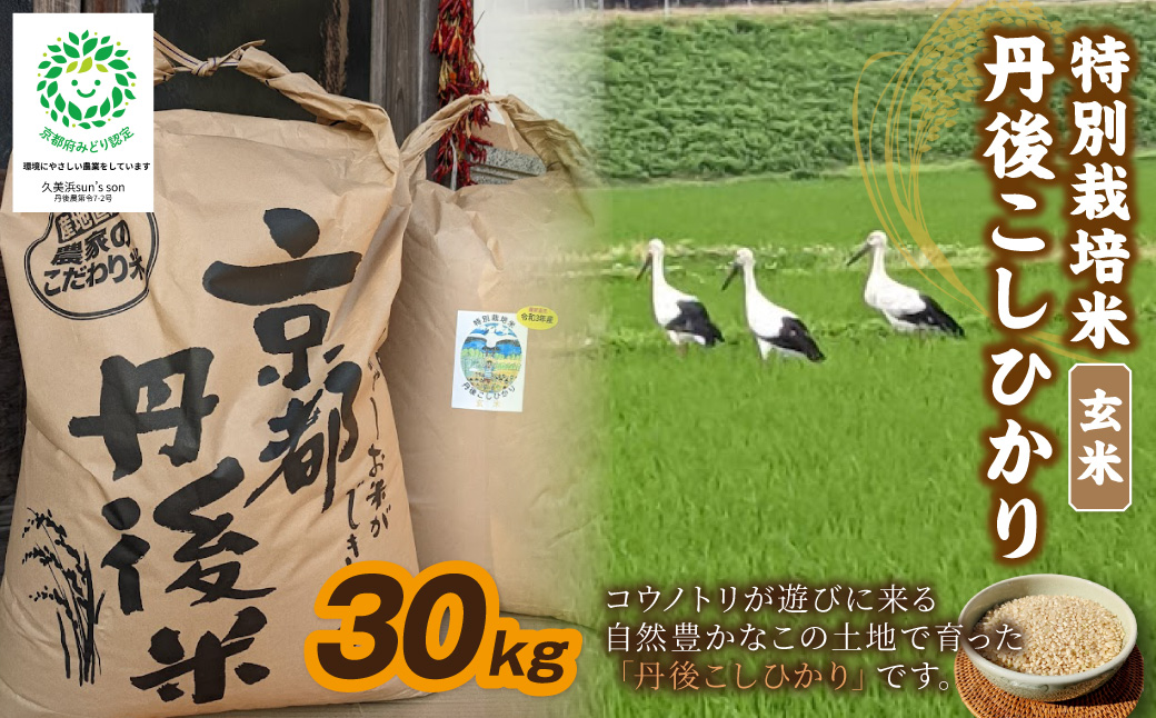 【先行予約】令和8年産 丹後こしひかり 玄米30kg 【特別栽培米】新米 玄米 こしひかり 30キロ 特別栽培 玄米 2026年産 ふるさと納税 こしひかり ふるさと納税