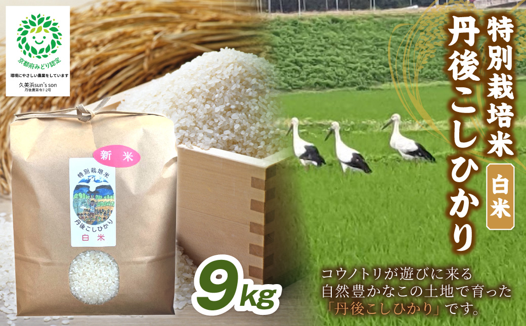 【先行予約】令和8年産 丹後こしひかり 白米9kg 【特別栽培米】新米 米 ブランド米 精米 特別栽培 白米 特別栽培米 令和8年度 ふるさと納税 こしひかり