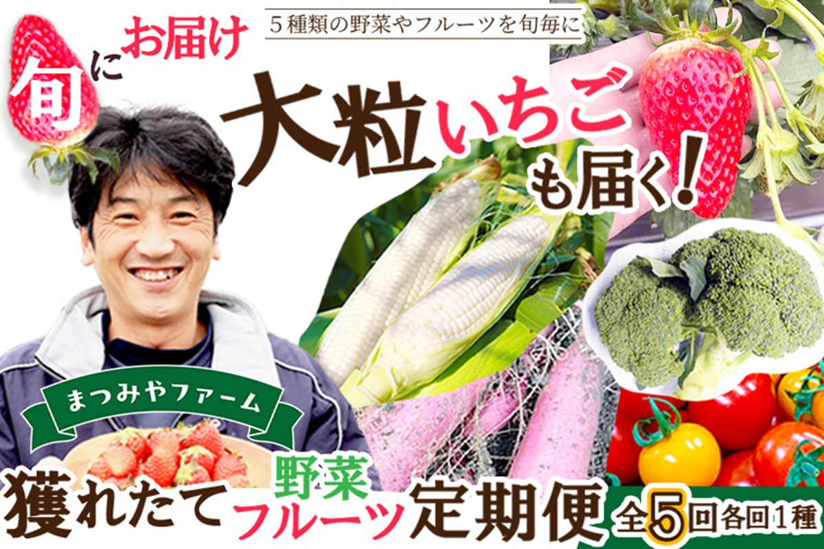まつみやファーム獲れたて野菜・フルーツ5種定期便