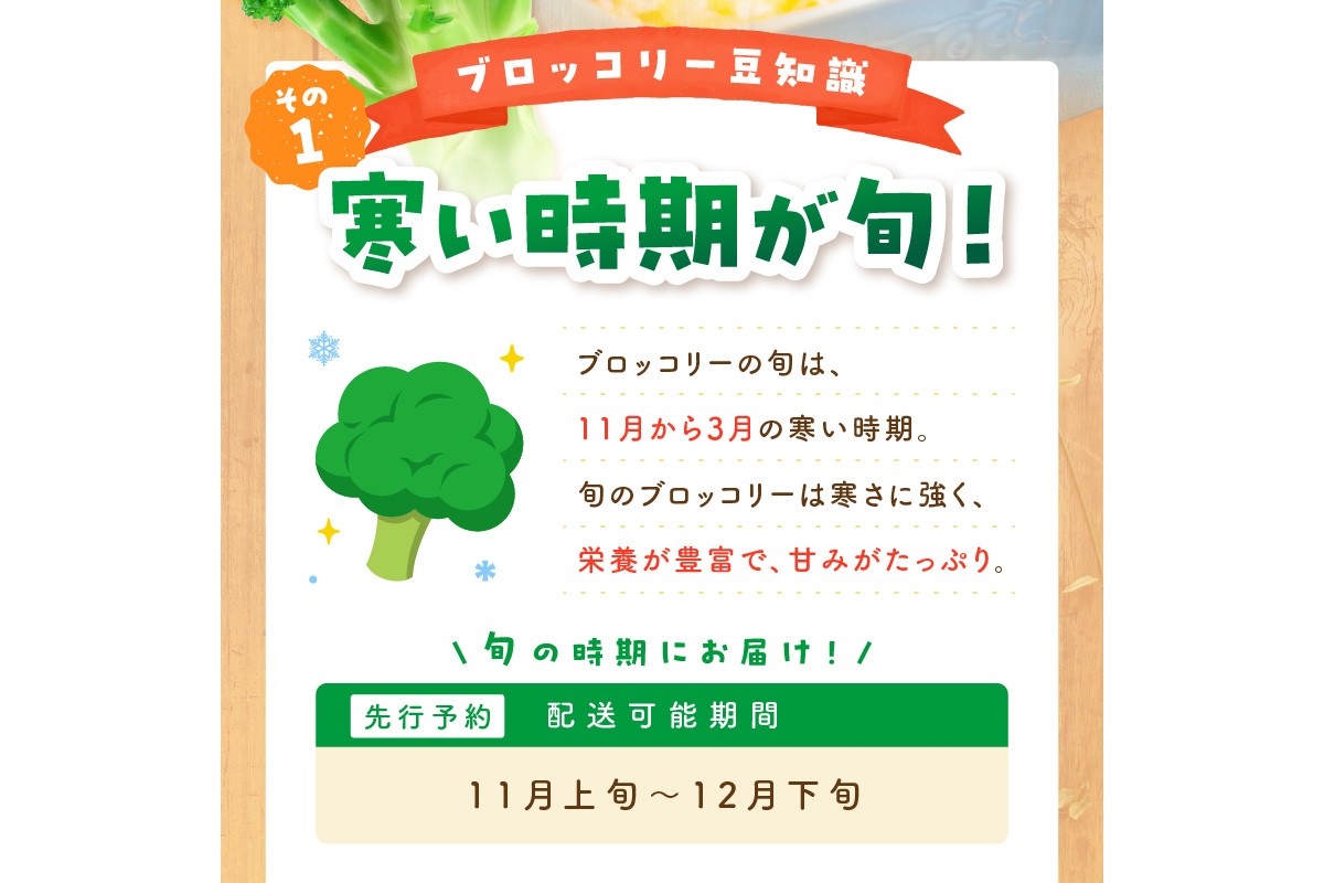 【先行予約】もりもり！ブロッコリー 約2kg（2026年11月上旬～発送）