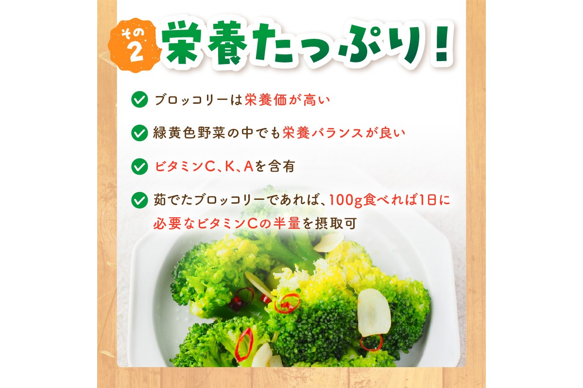 【先行予約】もりもり！ブロッコリー 約2kg（2026年11月上旬～発送）