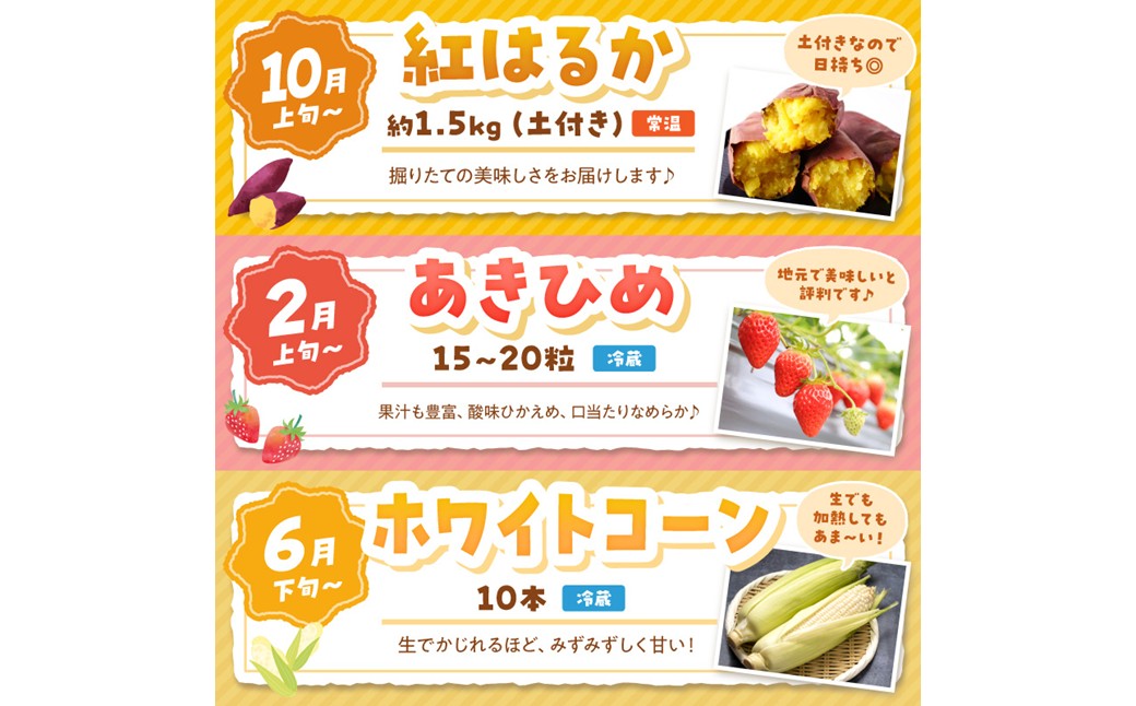 まつみやファーム獲れたて野菜・フルーツ3種定期便 ふるさと納税 果物 くだもの フルーツ ふるーつ 野菜 やさい 芋 穀物 紅はるか さつまいも いちご イチゴ 苺 ホワイトコーン 農家応援 生産者応援 送料無料
