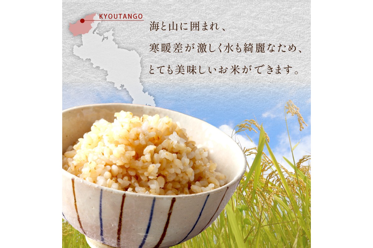 【3ヶ月定期便】2026年産 京都・京丹後峰山 特別栽培米コシヒカリ 3kg 【玄米】 1等米 検査済証付　ふるさと納税 米 玄米 定期便 京都 コシヒカリ 特別栽培 ふるさと納税 玄米 定期便
