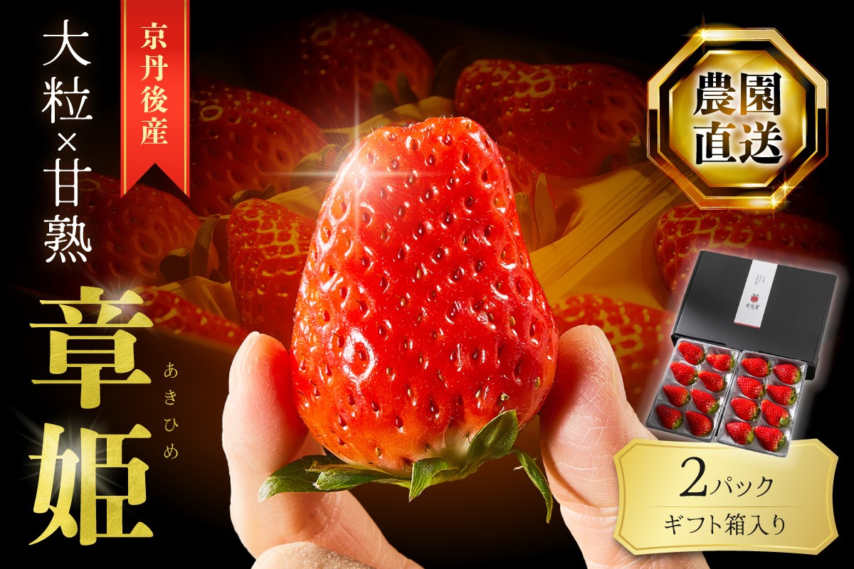 【京丹後産いちご章姫】農園直送便！新鮮大粒いちご 2パック ギフト箱入り／北畿水産