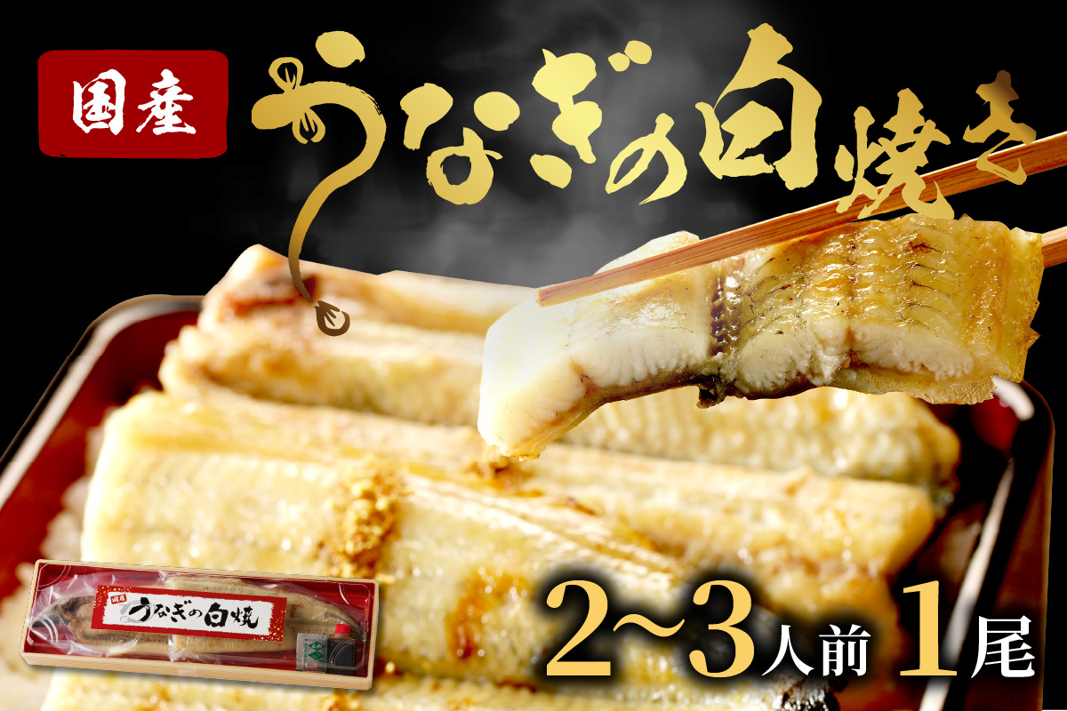 うなぎの白焼き2~3人前（1尾） ふるさと納税 ウナギ 鰻 白焼 しらやき タレ 国産 うなぎ 鰻 惣菜 京都 ギフト 贈り物 お祝い