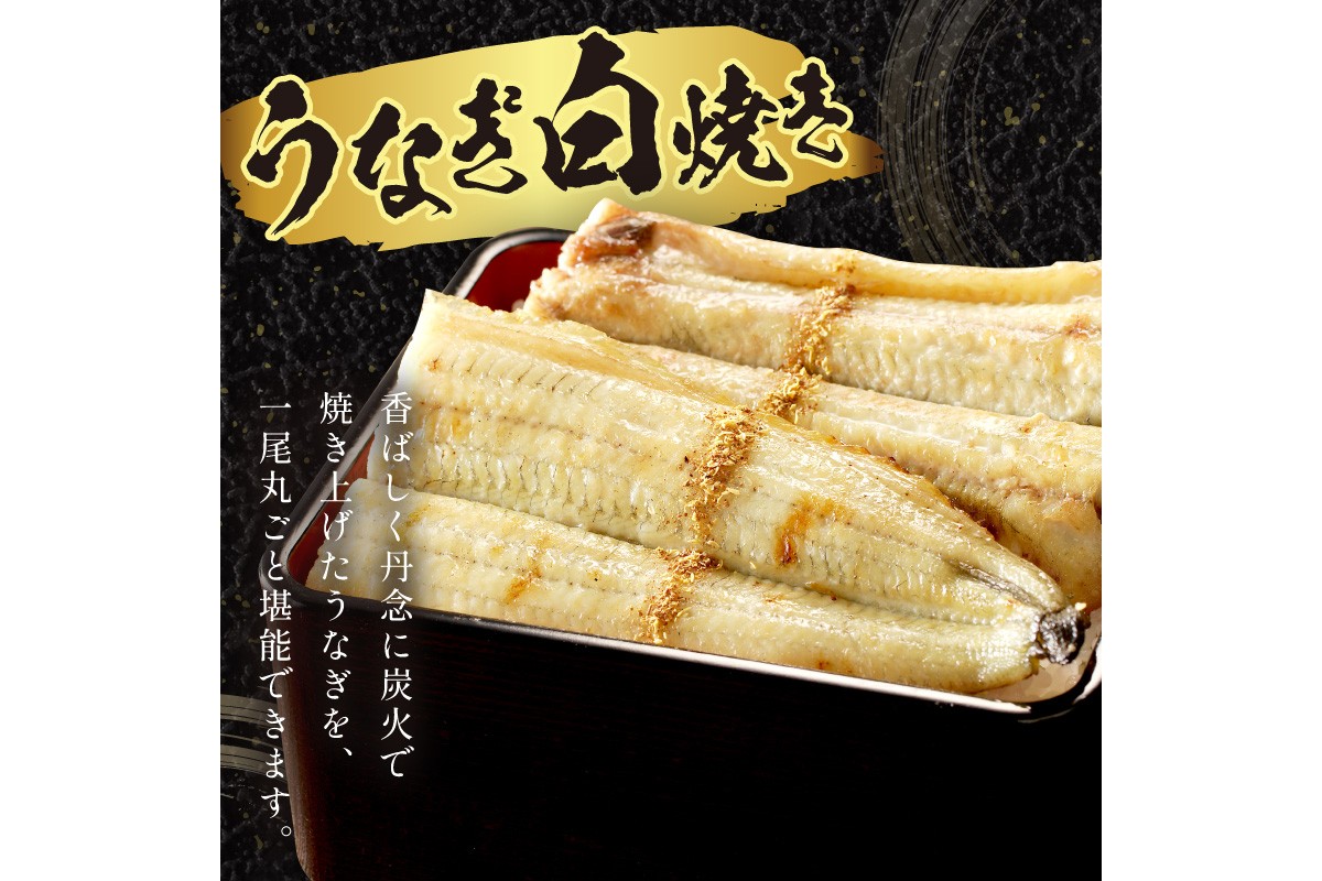 うなぎの白焼き2~3人前（1尾） ふるさと納税 ウナギ 鰻 白焼 しらやき タレ 国産 うなぎ 鰻 惣菜 京都 ギフト 贈り物 お祝い