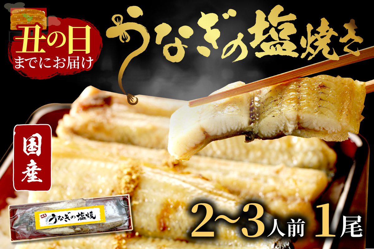 [土用の丑の日までに届く!]"新月の塩"使用 うなぎの塩焼き2〜3人前(1尾) ふるさと納税 鰻 国産 ウナギ 塩焼き うな丼 うな重 惣菜 京都 ギフト 贈り物 お祝い
