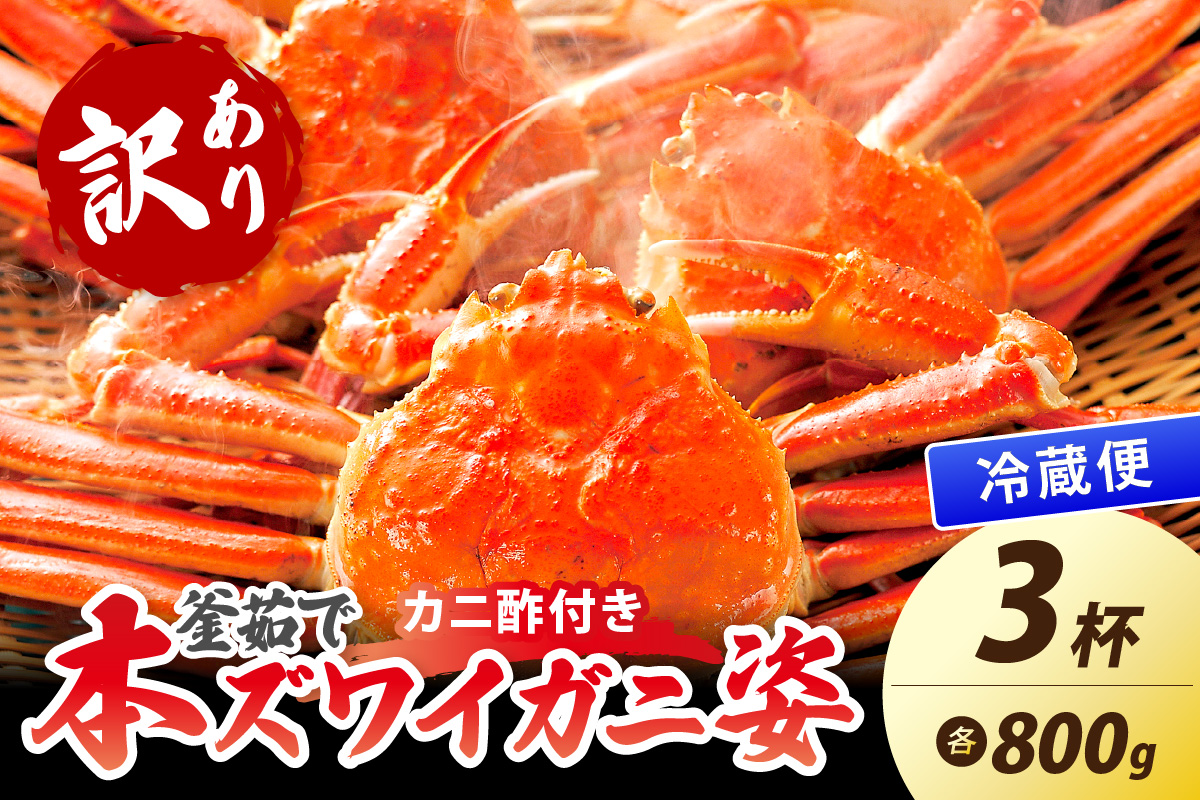 【大好評！カニ酢付き】訳あり！釜茹で！特大本ずわいがに姿 800g×3杯
