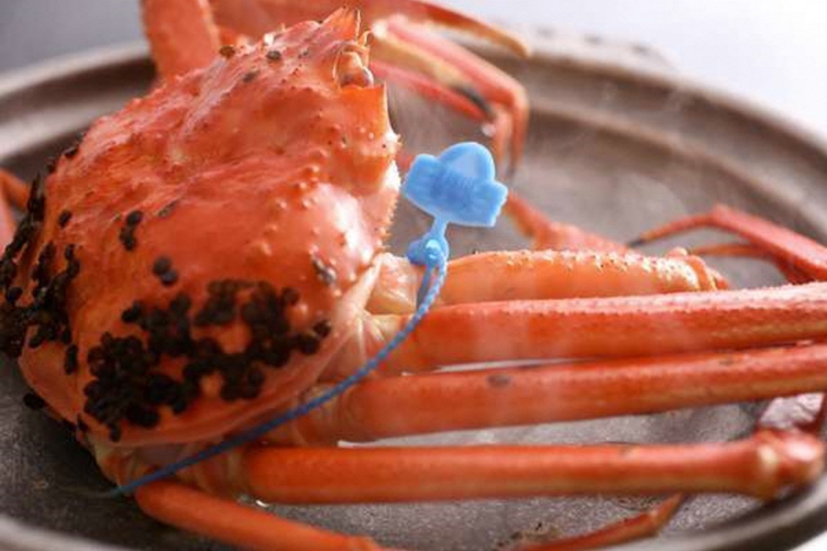 ãèš³ããïŒïŒã¿ã°ä»ããã©ã³ããè¹ã§æŸèã㫠鮮床æçŸ€ãéè¹ã§ã«ãŠãå±ãïŒïŒ 1kgçŽïŒè¶³1æ¬èœã¡ïŒÃ2æ¯