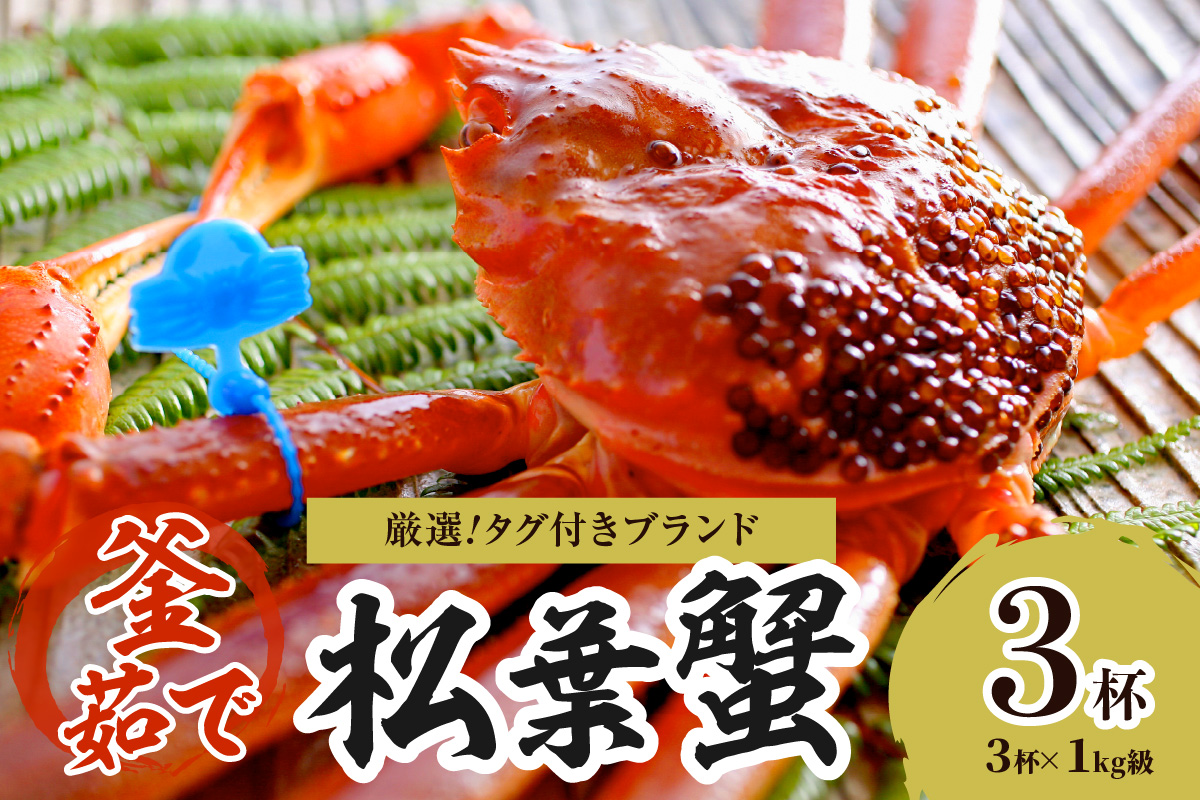 【厳選！！タグ付きブランド】茹で松葉かに 鮮度抜群、釜茹でにてお届け！！ 1kg級×3杯