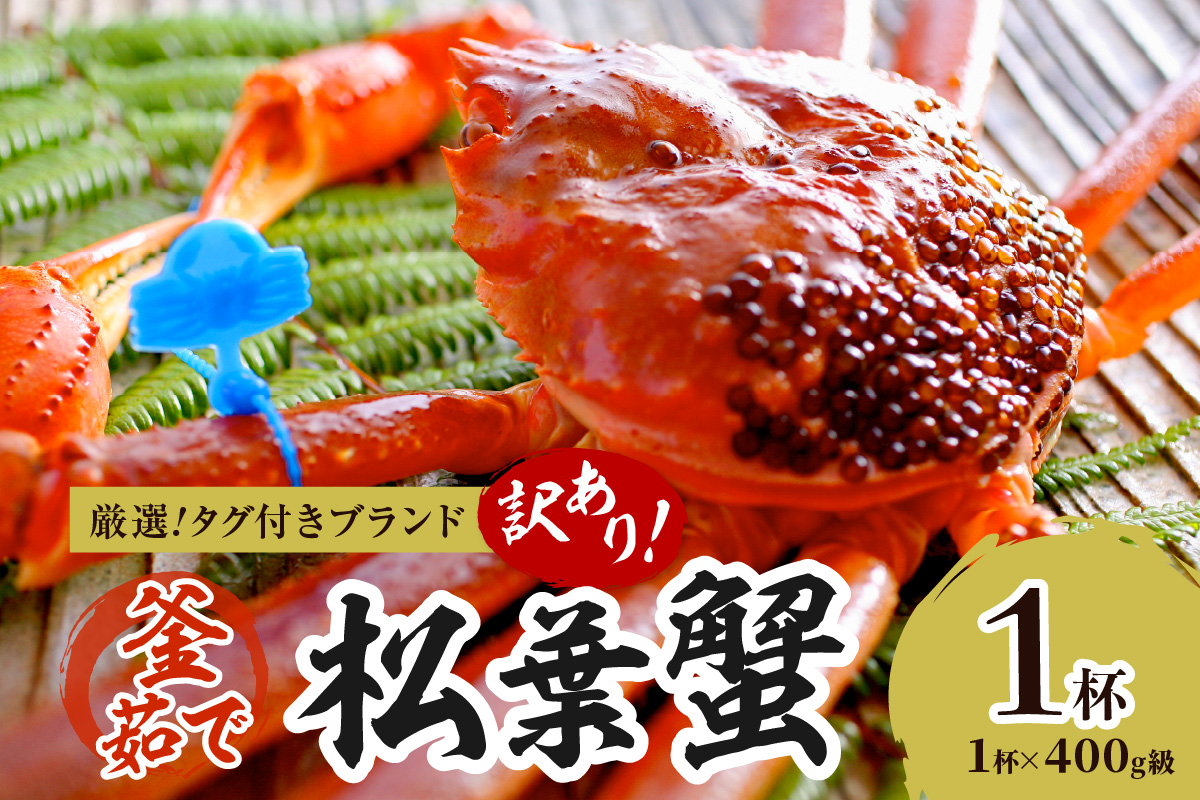 【訳あり！！タグ付きブランド】茹で松葉かに 鮮度抜群、釜茹でにてお届け！！ 400g級（足1本落ち）×1杯