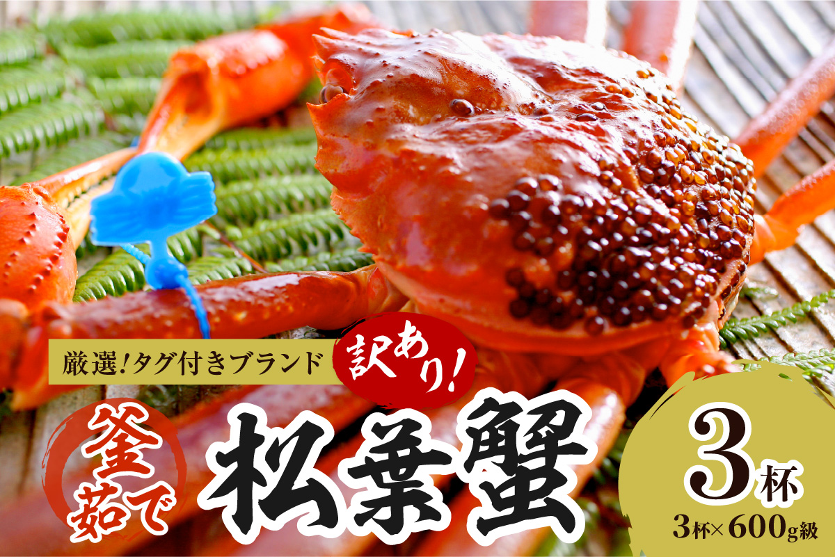 【訳あり！！タグ付きブランド】茹で松葉かに 鮮度抜群、釜茹でにてお届け！！ 600g級（足1本落ち）×3杯