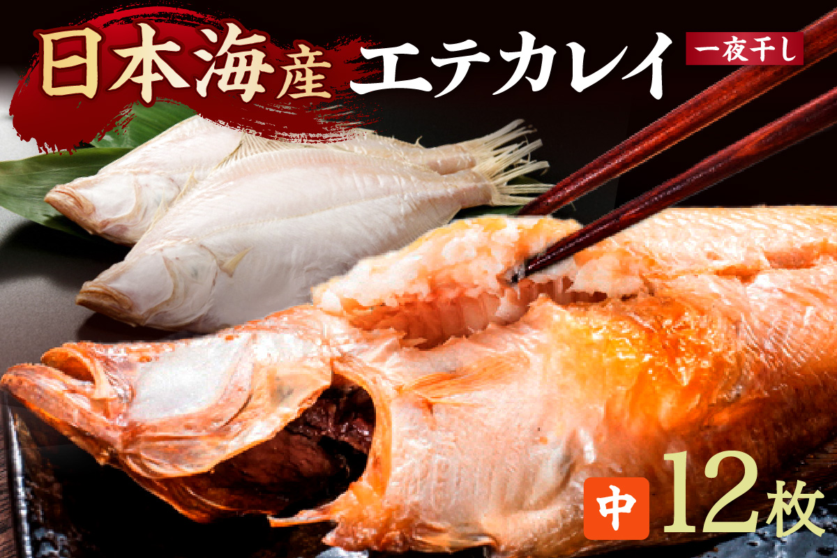 【店主一押し！絶品干物！高リピート！】エテカレイ一夜干し　中サイズ（朝食サイズ）12枚
