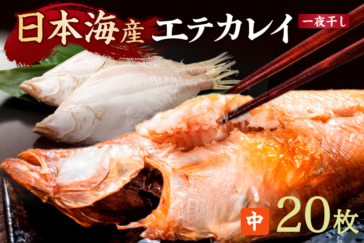 【店主一押し！絶品干物！高リピート！】エテカレイ一夜干し　中サイズ（朝食サイズ）20枚