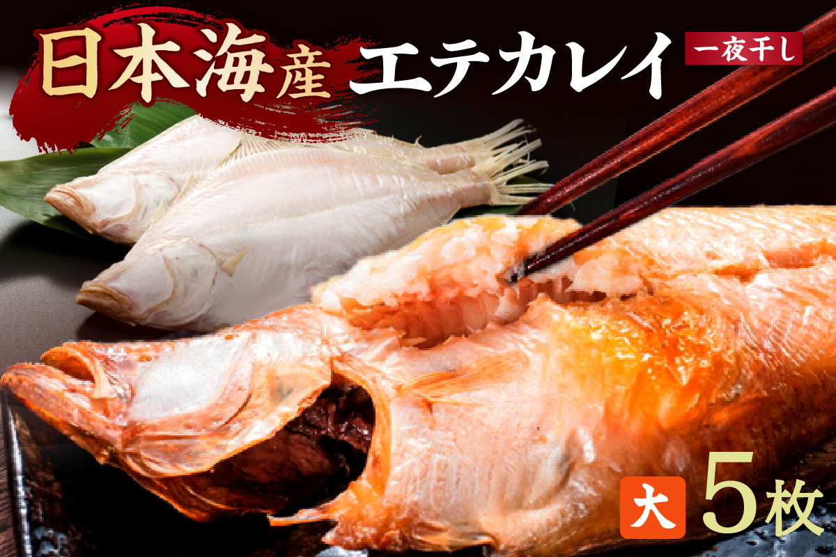 【店主一押し！絶品干物！高リピート！】エテカレイ一夜干し　大サイズ（夕食サイズ）5枚