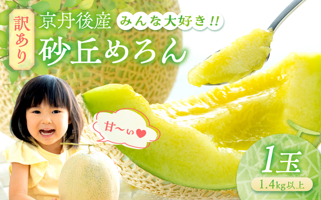 【先行予約】メロン産地から直送！濃厚な甘み／みんな大好き甘～ぃ！京丹後砂丘めろん！ 1玉（2026年7月下旬～発送）メロン1玉