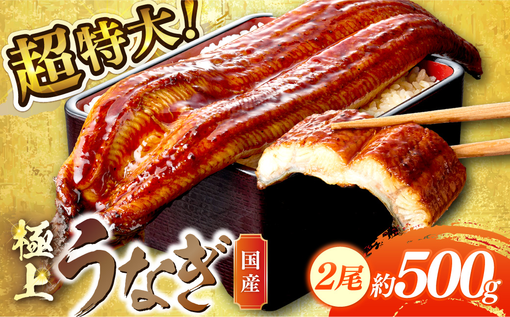 超特大！極上！国産うなぎ蒲焼 2尾 合計500g前後 ふるさと納税 鰻 九州産 国産 ウナギ 有頭 蒲焼き うな丼 うな重 うなぎ 国産